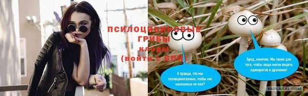 MESCALINE Богородицк