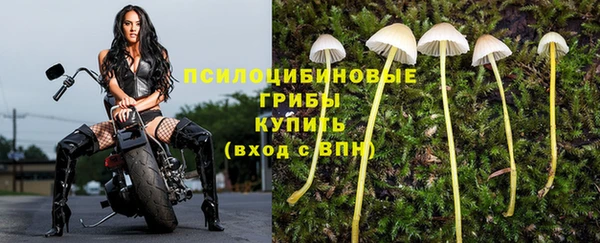амфетамин Богданович