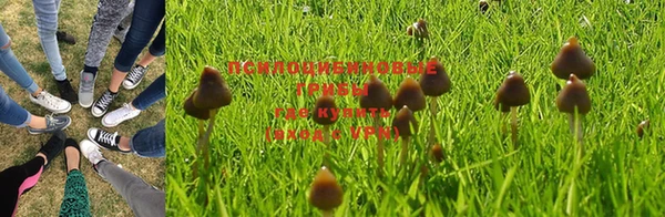 mdpv Балахна