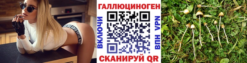Галлюциногенные грибы Psilocybine cubensis  цены   Буинск 